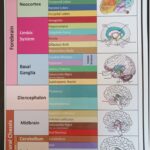 A2 Making Connections Reference Chart - Art Card with Lamination