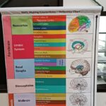 A2 Making Connections Reference Chart - Bunting