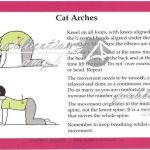 RMTi Cards - Cat Arches (Loose Pack of 10)