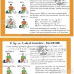 RMTi Cards - Spinal Galant Isometric (Loose Pack of 10)